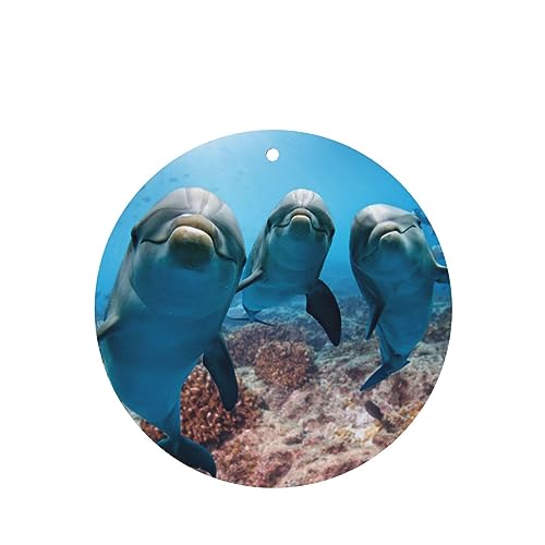 I[VAj}t@j[CJԗpF p[\iCYꂽXCX J[A}Zs[^ubg ݂艺F܃J[h [vt 4 ԂƂ̑p