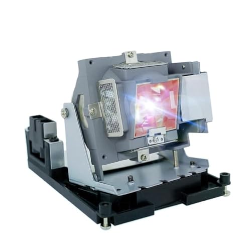 Ampoule projecteur BL-FU310B résout l'image sombre BR561