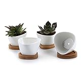 T4U 3 Inch Ceramic White Misalignment Traiangle Design succulent Plant Pot/Cactus Plant Pot With Bamboo Tray Package 1 Pack of 4