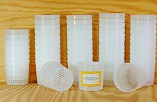 AlcoFermBrew 50 x Cheese Mould 5x5cm - 100g Ricotta | Moulds | Basket for Cheese | Cheese Form