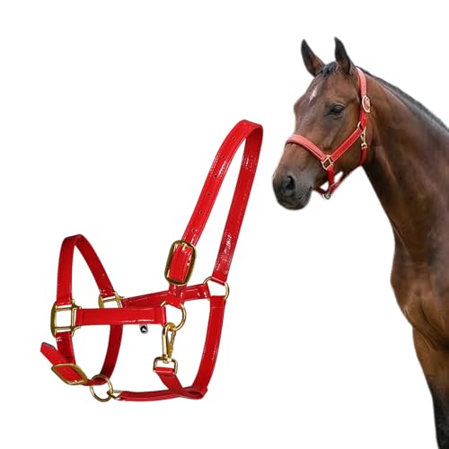 Caballo de cuero impermeable que garantiza máxima estabilidad al andar 4
