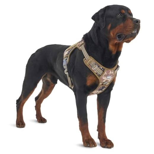 Auroth Tactical Dog Training Harness No Pulling Front Clip Leash Adhesion Reflective K9 Pet Working Vest Easy Control for Small Medium Large Dogs Desert Camo XL