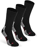 sockendirekt.de Thermosocken Warm Vollfrottee Winter Thermo-Socken Gepolstert (3 Paar) Schwarz 39-42