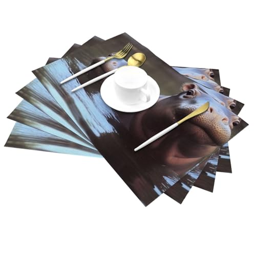 Set de table pour cuisine et extérieur : lot de 6 protections lavables pour table basse