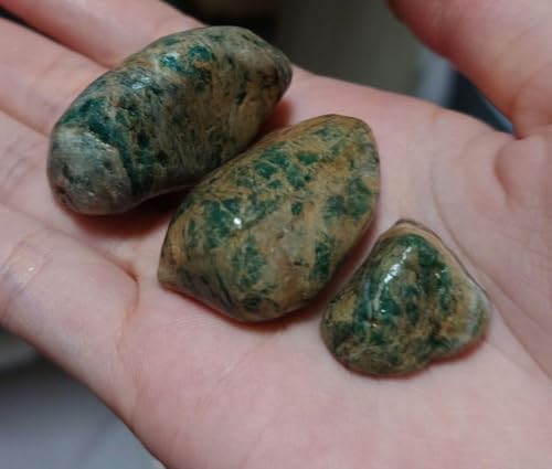 IY Őɉ XgxiCg ϐ <0701zޗE[X>