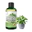 Pothos