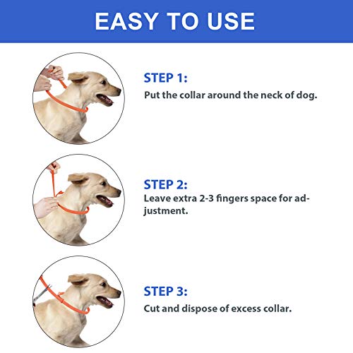 2 Pack Natural Flea Collar for Dogs with 8-Month Prevention, Waterproof Dog Flea and Tick Collar, Adjustable Flea and… - Image 4