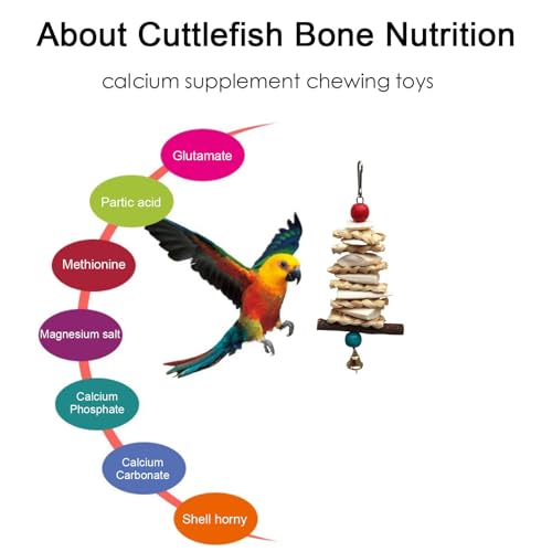 Brinquedos para mastigar pássaros, brinquedo para mastigar papagaio - Brinquedos naturais feitos à m