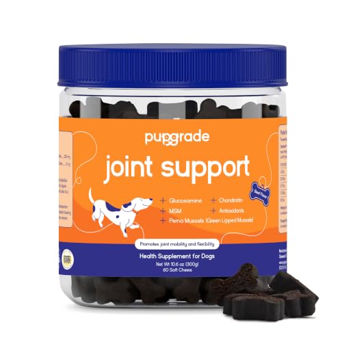 PupGrade Joint Support for Dogs, Beef Flavor - 60 Soft Chews