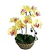 Produktbild Künstliche Orchideenblüten, künstliche Blumenpflanze im Topf Phalaenopsis Bonsai Set