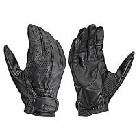 Amazon | デイトナ(Daytona) バイク グローブ 冬 革(牛革) 防水 防風