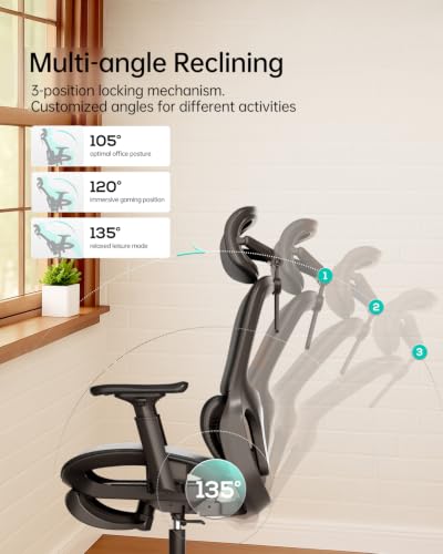 Image of Hbada P2 Ergonomic Office Chair, Office Chair with 3D Lumbar Support, Ergonomic Chair with 3D 360 Rotation Arms & 3D Headrest, 135 Stepless Tilt Function, Black