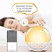 Smart Wake Up Light Despertador Luz - Inteligente Despertadores Wifi Control de...