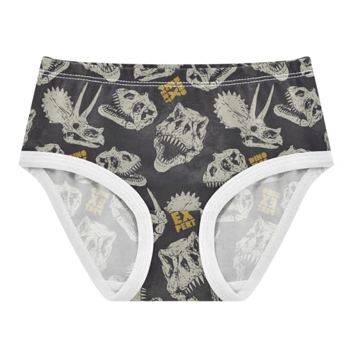 Girls Underwear Soft Cotton Dinosaur Skull Kids Panties in Sizes 2/3t, 4t, 5t, 6 and 8