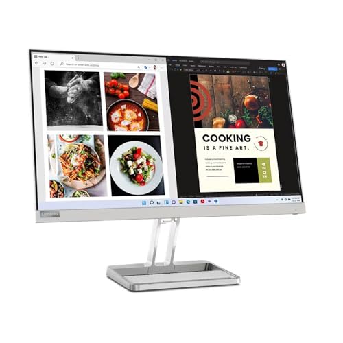 Lenovo L24i-30 23.8' Monitor 1920x1080 100 Hz 6ms 250nits