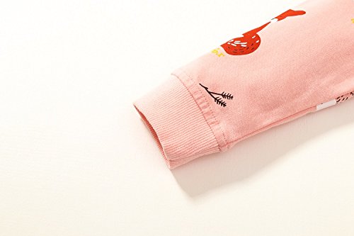 Image of Bumeex Girls Cotton Crewneck Cute Sweatshirts The Hedgehog and The Fox Pink 2-7T