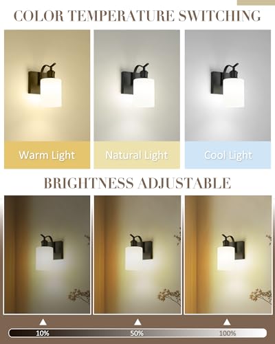 Image of 1-Light Bathroom Wall Sconce, Matte Black Modern Wall Light Fixture with Frosted Glass Shade RGB Bulb, RGB 12 Colors Modes Rechargeable Wall lamp for Bedroom Living Room, ZCVL01BK-1B