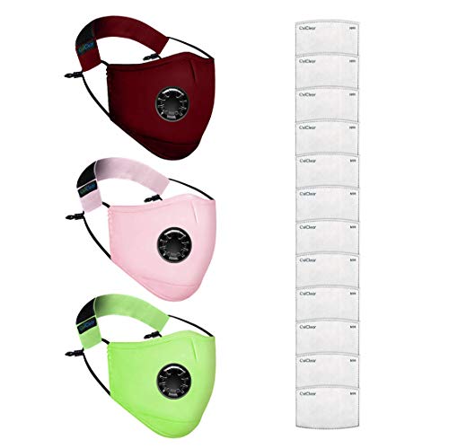 Oxiclear N99 Activated Carbon Anti Pollution Mask (Black)