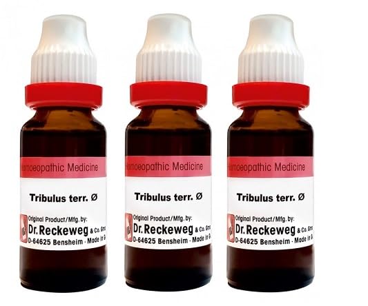 Tribulus Terr Q 20ml Dr Reckeweg (Pack Of 3)