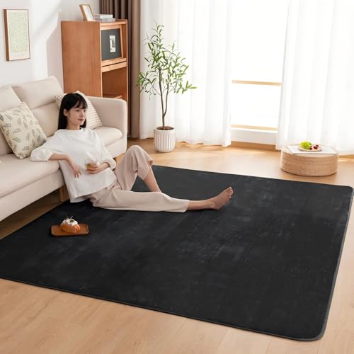 カーペット ラグ ラグマット滑り止め付 洗える 200×300cm 約4.5畳 絨毯 防ダニ 抗菌 防臭 オールシーズン快適に使用 床暖房 ホットカーペット対応 ふわふわ肌触り フランネルラグ 無地 ブラック