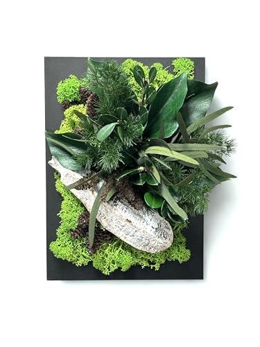 Générique Cadre végétal stabilisé 17x12 cm