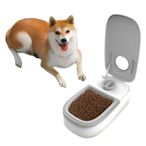 [Blopobuyi]�������a�� �L&���^�� ���p �^�C�~���O�y�b�g�t�[�h���a�� 350 ml ��e�� 48���ԃ^�C�}�[�ݒ� �H�i�N�x�ێ� �����H�i�܂��͔������H�i�ɓK�p ���S�őϋv���� �����[�o�u���g���C �����ɂ��₷�� �L&���^�� ���p