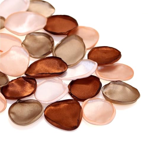 VN[YԂт 300 p Ԃт fpȃuE tFCN[ỶԂт H  ʘHi[ t[K[ oXPbg e[u Z^[s[X