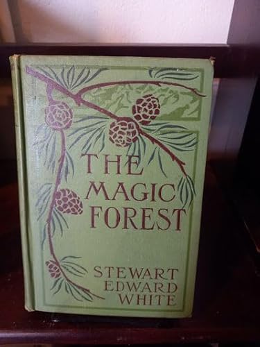 the Magic Forest: a Modern Fairy Story B000NZ96RA Book Cover