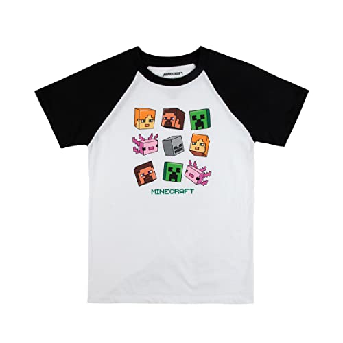 Minecraft Creepers And Character Heads Crew Neck Short Sleeve 4Pk Boy's Tees-Xl Multicolored #TOP2