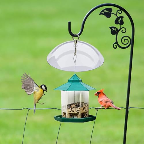 Cúpula deflector para comederos de pájaros colgante y resistente 6