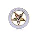 Order of the Eastern Star (OES) Lapel Pin (1.25 inches - Masonic)