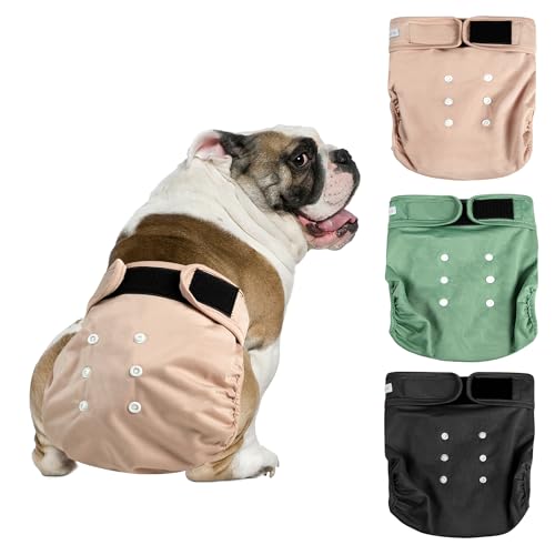 Langsprit Female Dog Diapers No Tail Hole