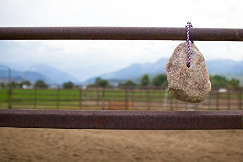 Redmond - Rock On A Rope Unrefined Salt Rock For Horses; 3 To 5 Lbs- … #TOP4