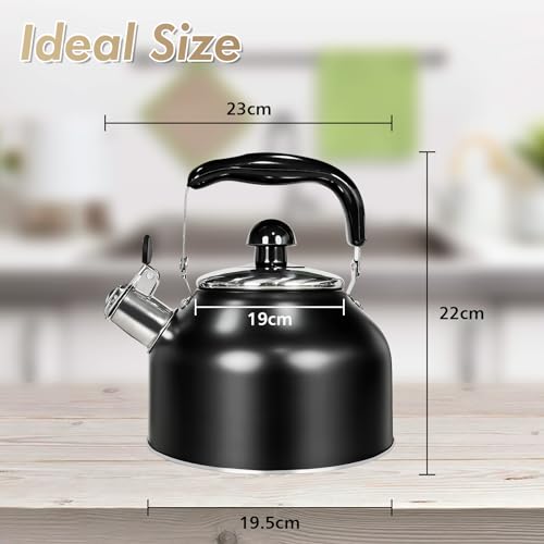 Vinekraft Stove Top Kettle, 2.7L Whistling Kettle, Stainless Steel Camping Kettle Teapot for Gas Hobs, Induction and Electric Hobs (Matte Black)