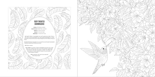 Animals: A Smithsonian Coloring Book Box Set - Image 7