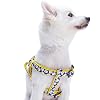 Blueberry Pet 2 Patterns Soft & Comfy Step-in Loving Daisy Prints Padded Dog Harness, Chest Girth 16.5 - 21.5, Small, Adjustable Harnesses for Dogs