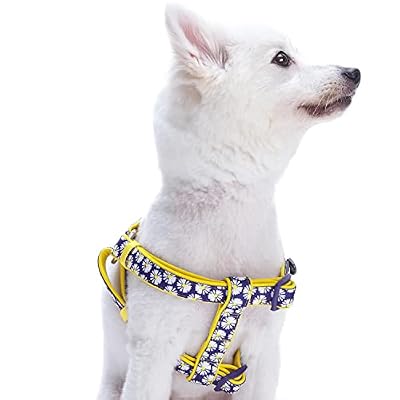 Blueberry Pet 2 Patterns Soft & Comfy Step-in Loving Daisy Prints Padded Dog Harness, Chest Girth 16.5 - 21.5, Small, Adjustable Harnesses for Dogs
