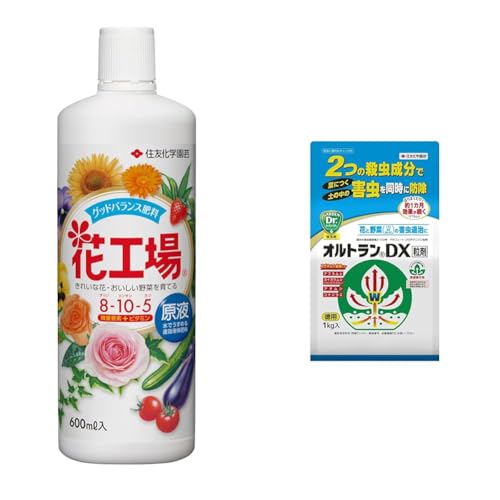 yZbgzZFw| 엿 ԍHꌴt 600ml+E IgDX 1kg