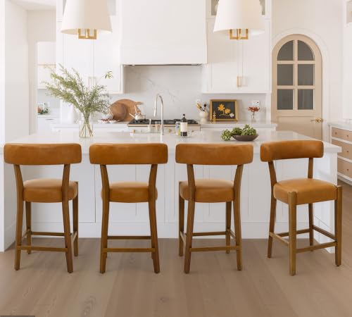 RNKSFX Counter Height Bar Stools Set of 4, 26 Inch