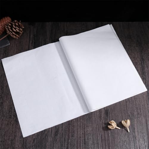 Papel Xuan para estudiantes de caligrafía sin borrones de tinta 2