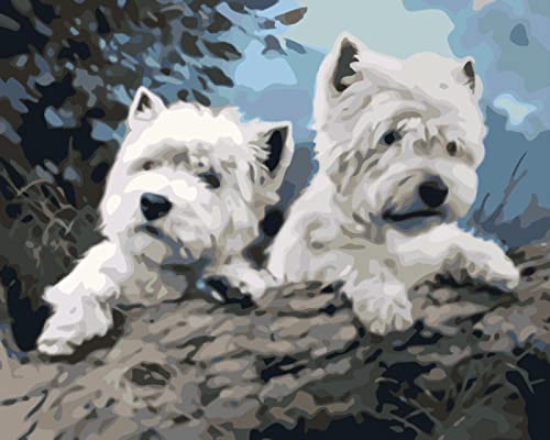 Kit broderie point de croix chien blanc à offrir comme cadeau artisanal original et ludique