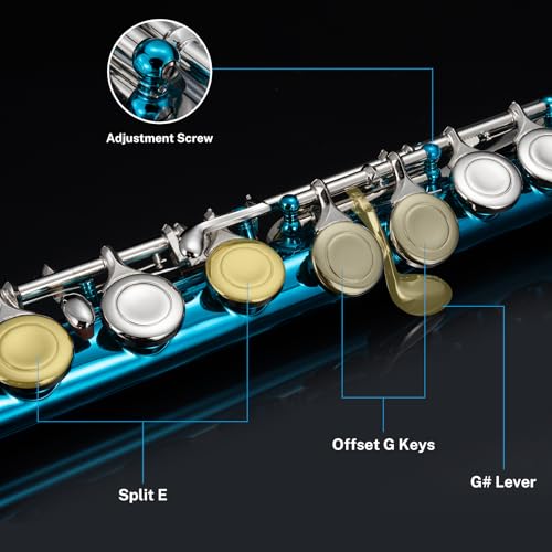 image for POGOLAB Flutes, Closed Hole C 16 Keys Flute Instrument, Student Flute 