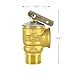 HYDRO MASTER Safety Relief Valve With 3/4 Inch Thread 30 PSI ASME Hot Water (30 PSI)