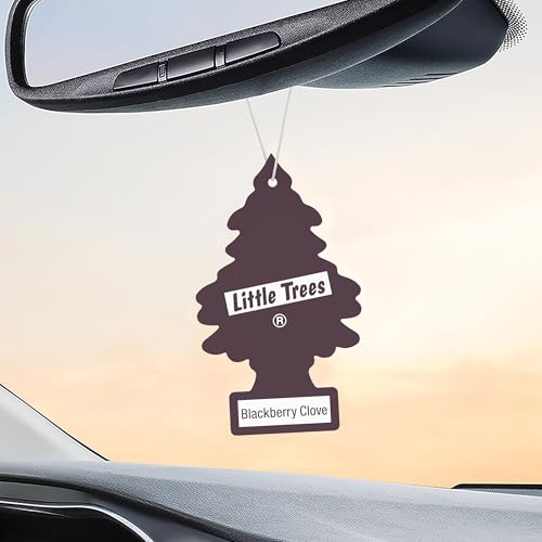 Image of LITTLE TREES Car Air Freshener | Hanging Tree Provides Long Lasting Scent for Auto and Home | 24 Air Fresheners |Blackberry Clove