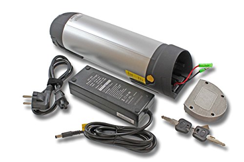 vhbw Batería Adecuada para e-Bike, Bicicletas eléctricas Prophete Zündapp reemplaza baterías de Botella, Botellas (Li-Ion, 10 Ah, 36.0V)