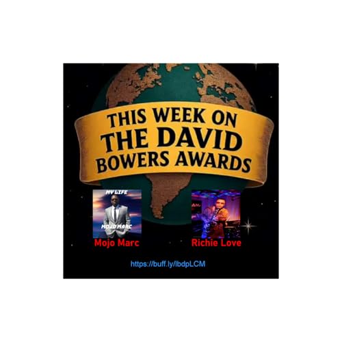 Page de couverture de TheDavidBowersAwards