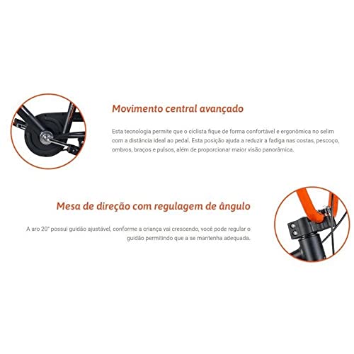 Bicicleta Bella Aro 20 Nathor Multicor