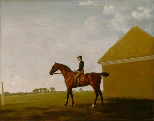 Imagen de Lienzo Modernos George Stubbs con alta definición y textura artística de 60x90cm