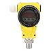 Pressure Sensor Transmitter, Digital Explosion Proof, Stainless Steel Sender 4-20mA LCD for Oil Air Water Pressure (Pressure Range:0~0.6Mpa)