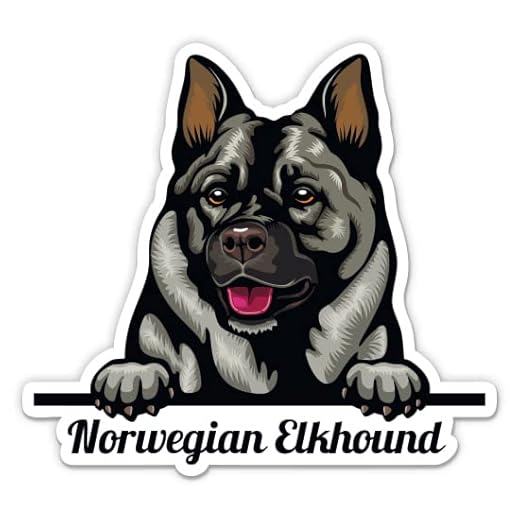 Norwegian Elkhound Dog Stickers - 2 Pack - Waterproof Vinyl for Car, Phone, Water Bottle, Laptop - Norwegian Elkhound Decals (2-Pack)